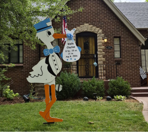 Blue Stork Rental