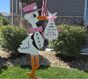 Pink Stork Rental